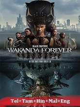 Black Panther: Wakanda Forever