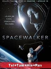 The Spacewalker