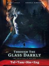 Through the Glass Darkly